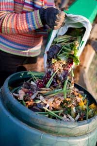 Compostaggio domestico